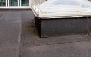 disadvantages of Haselor flat roofs